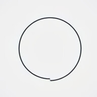 antanicus@puntarella.party