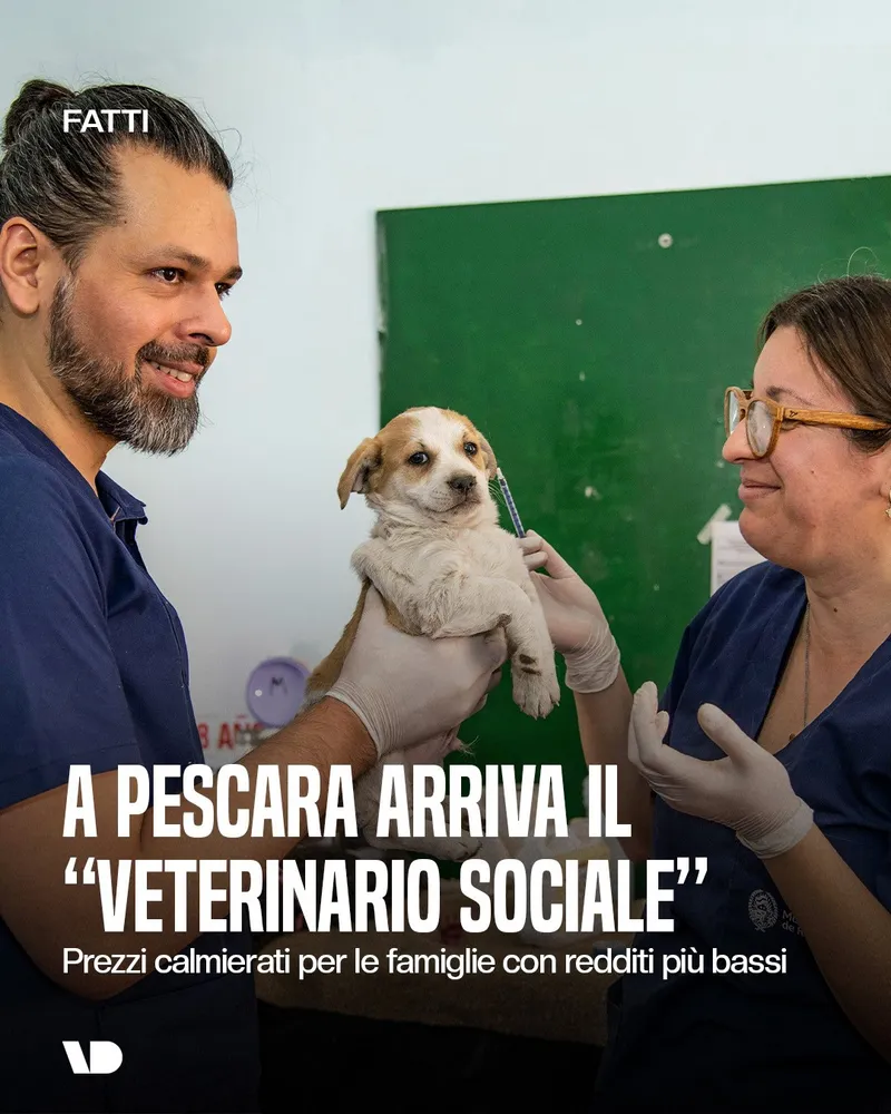 A PESCARA ARRIVA IL “VETERINARIO SOCIALE”
Prezzi calmierati per le famiglie con redditi pili bassi
